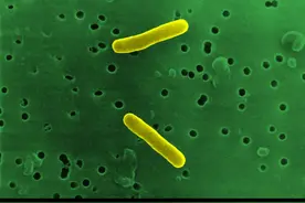 【答个疑】发烧了，到底要不要去医院？图片