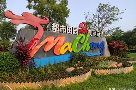 莞邑风光之麻涌华阳湖，湿地景区的典范，游玩项目多人气旺盛图片