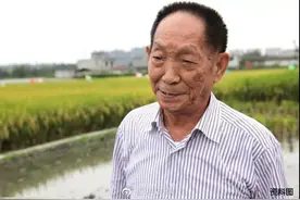 这就是“顶流”图片