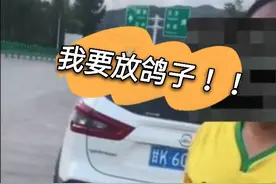 陇南：高速公路停车？！胆大司机：我要放鸽子！图片