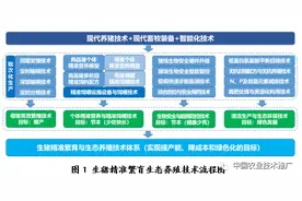 【2020十大引领性技术】生猪精准繁育生态养殖技术图片