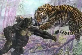 重达千斤的远东巨虎，三米高巨猿，盘点外形奇异的八种动物图片