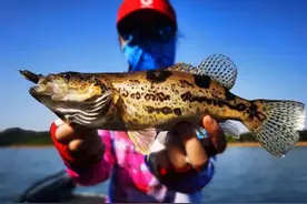 江西滨田水库-探钓鳜鱼之旅图片