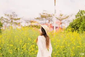 地铁直达，深圳油菜花海来了图片