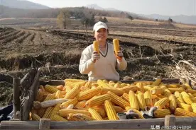 醉东北，方言土语，怕你看不懂自带翻译版图片