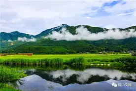 待疫情散去 一定要去腾冲湿地看春暖花开图片
