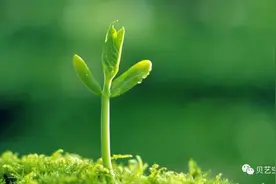 电脑开不了机咋办？师傅不上门，给我推荐了它图片