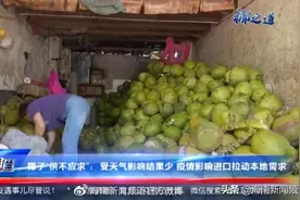 零售10元一个！岛民望椰兴叹，食品加工多靠进口，海南椰子产业如何突围？图片
