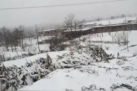 难忘1969年的那场大雪 | 顾丽丽图片