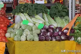 冬季囤菜有哪些注意事项？听听专家怎么说图片