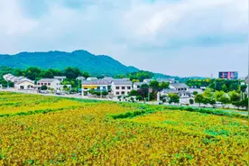靓！望城这个藏在景区里的美丽乡村，你走过吗?图片
