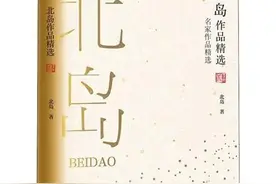 用文本细读法解读《回答》图片