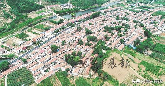 博山区池上镇赵庄村：千年大槐树矗立齐鲁之心
