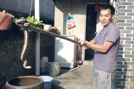 农村小哥家用竹子自制抓蛇工具，抓蛇方便安全很多，来看看怎么抓