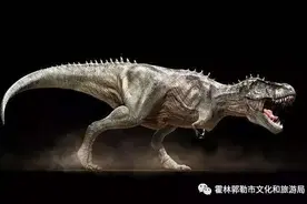 霍林郭勒：古生物化石富集区图片