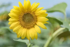 看清一个人，就看他得意时的样子图片