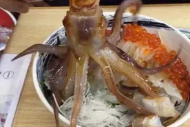 比韩国人更会玩，这道日本美食“跳舞章鱼”生猛模样冲击视觉味蕾图片