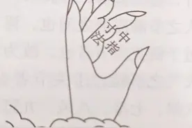 找不准穴位？先搞清楚一寸到底有多长吧图片