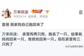 网友爆笑找狗经历：丢了1只狗，找回来了3只狗...图片