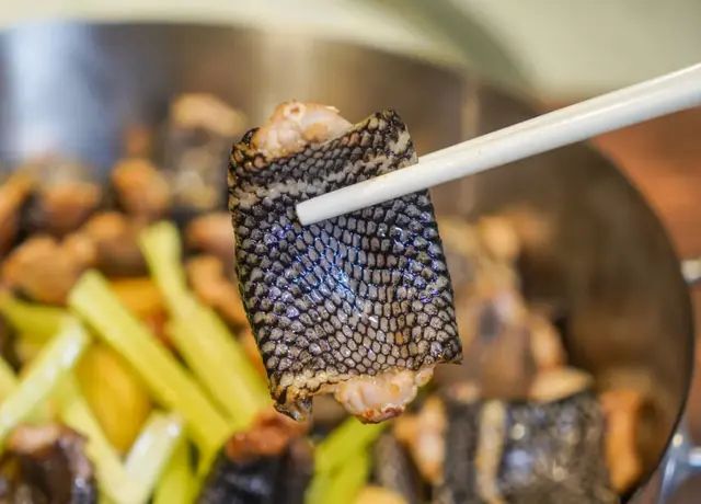 花胶鳄鱼肉 花胶鳄鱼肉煲瘦肉