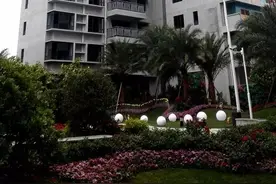 碧桂园的“SSGF”工法震动了整个建筑圈图片