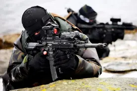 给HK416“编家谱”：这款步枪红遍全球，一共有多少种改型？图片