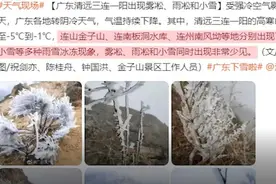 2021年广东第一场雪来了，连山金子山现雾凇、雨凇和小雪图片