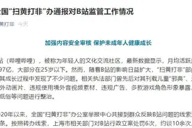 全国“扫黄打非”办：B站今年被行政立案处罚6次 约谈10余次图片