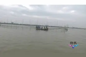 高宝邵伯湖开捕：渔获种类变多，渔民自觉“抓大放小”图片