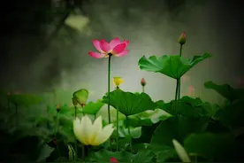 "接吻"时，女人有这3个表现，说明已经对你动情图片