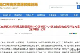重磅！海口江东新区5大片区方案出炉图片