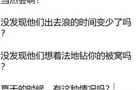 猫冬天会感到冷吗？图片