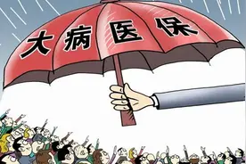 【医保科普】详解基本医疗保险的“好搭档”：大病医疗互助补充保险图片