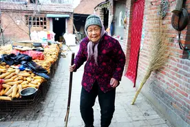 农村72岁老人养鸡27年：去年赚6万元，现在赔钱怕92岁娘知道哭图片