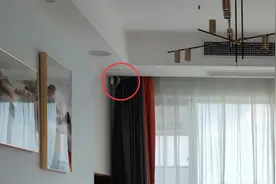 窗帘选购与安装注意事项，2000字超全整理，不装修也要先收藏图片