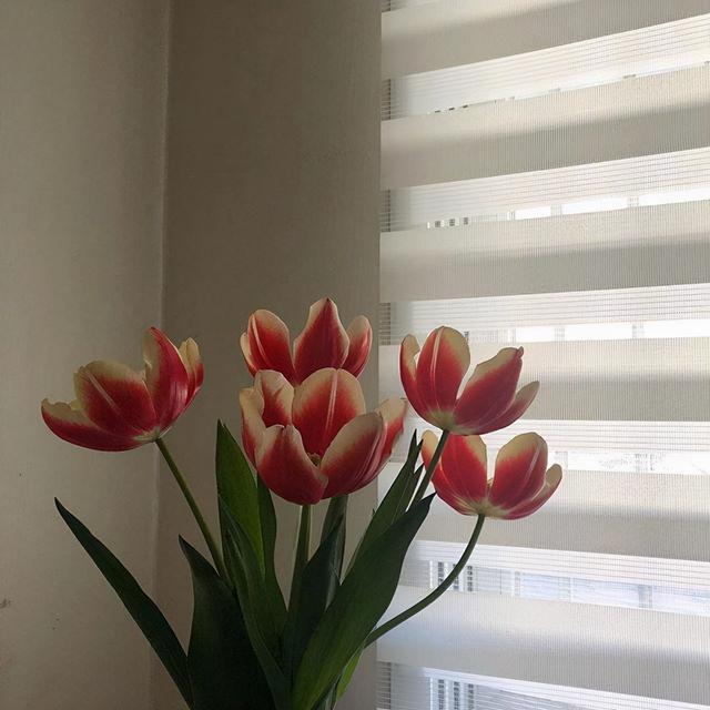 朋友圈很精美的早安句子,经典入心,百看不厌