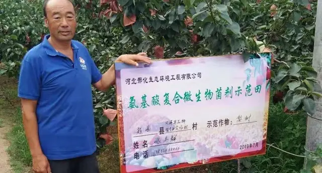 氨基酸在农业上的应用价值