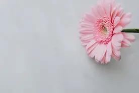 董卿：你希望孩子成为什么样的人，你就首先要去做一个什么样的人图片