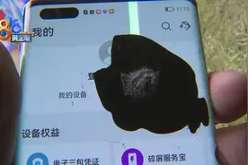 想用碎屏险，先修摄像头？图片