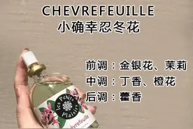 拒绝街香系列二，一百左右但闻起来却很贵的香水，你有用过这些吗图片