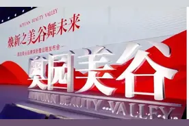 奥园美谷：告别房地产，追逐医美风口图片