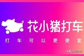 花小猪是什么？怎么成长起来的？原来TA的运营策略的这样的图片