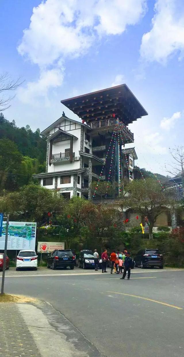 一块探秘花海,游新兴天露山梅溪小镇,赏花中西施