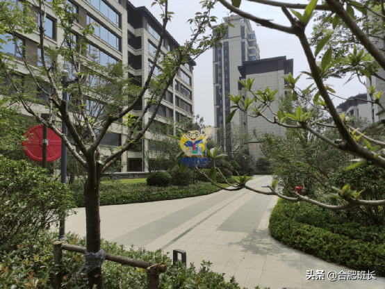 正在登记的雍容雅苑怎么样？实探包河区淝河板块的招商雍荣府