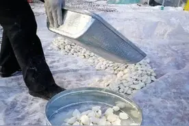 南方大妈来东北看女儿，看到满地饺子就想捡，女儿：那是人家晒得图片