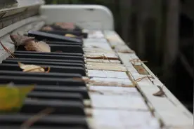 周日音乐厅之《升c小调第十四钢琴奏鸣曲》·或者说月光奏鸣曲图片