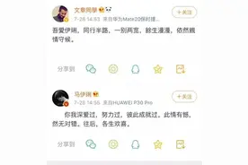 文章、马伊琍夫妇终于通过微博宣布，两人正式离婚！图片