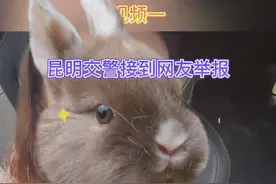 @春城好网民，你举报的女子开车自拍小视频，处理结果来了！图片