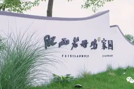 绝了！一只鸡住的地方居然这么仙气又好玩图片