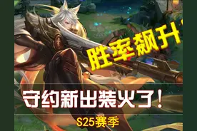 新赛季更新才两天，守约全新出装彻底火了！胜率飙升全靠寒霜袭侵图片